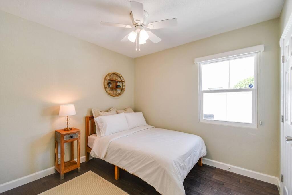 Luxury Home In The Heart Of South Tampa & Pool! Zewnętrze zdjęcie