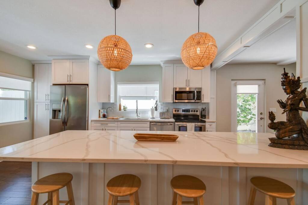 Luxury Home In The Heart Of South Tampa & Pool! Zewnętrze zdjęcie